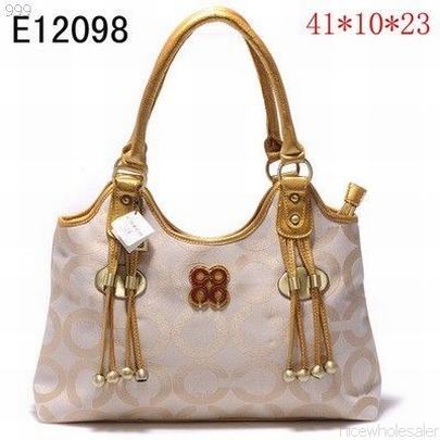 Coach handbags119